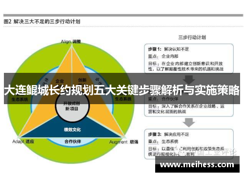 大连鲲城长约规划五大关键步骤解析与实施策略