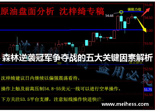 森林逆袭冠军争夺战的五大关键因素解析 森林逆袭冠军争夺战的五大关键因素解析