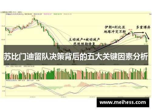 苏比门迪留队决策背后的五大关键因素分析