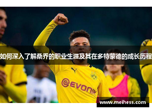如何深入了解桑乔的职业生涯及其在多特蒙德的成长历程