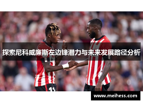 探索尼科威廉斯左边锋潜力与未来发展路径分析