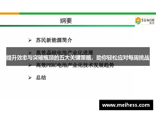 提升效率与突破瓶颈的五大关键策略，助你轻松应对每周挑战